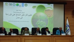 جانب من ورشة العمل
