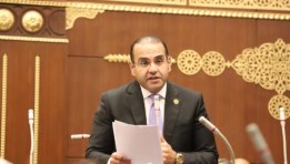  المهندس محمد المنزلاوي عضو مجلس الشيوخ 