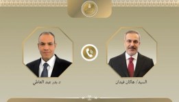 وزيرا الخارجية المصري والتركي 