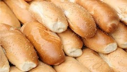 أسعار الفينو اليوم 