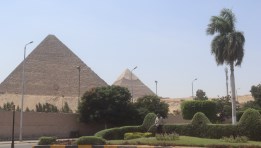 رفع كفاءة محيط المتحف المصري الكبير