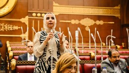 النائبة ولاء هرماس  