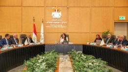 المهندسة راندة المنشاوي