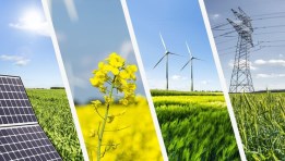 مشروعات التنمية الخضراء-  تعبيرية