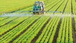 لوتس للتنمية والاستثمار الزراعي- تعبيرية
