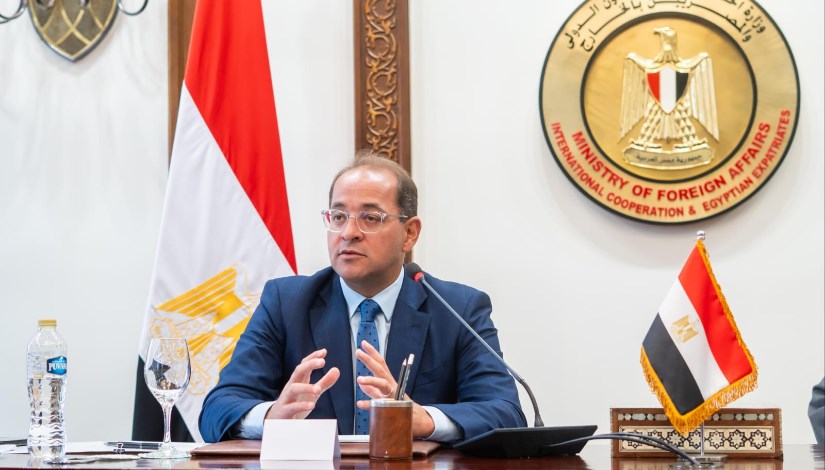 أحمد كجوك، وزير المالية