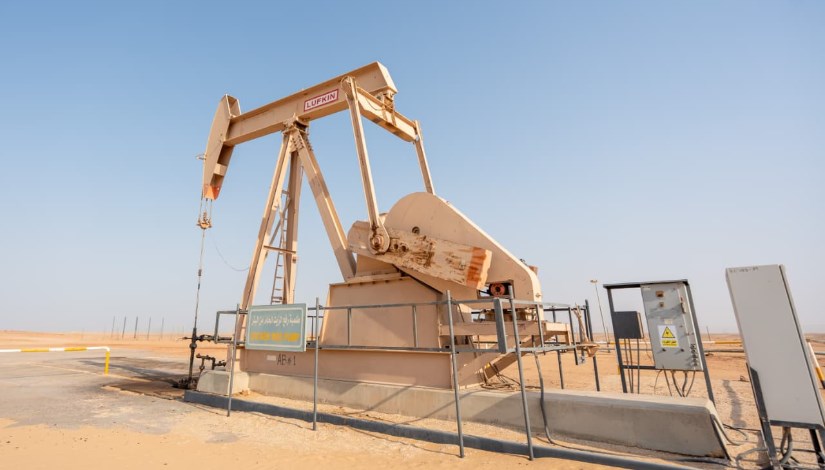 حقل البركة