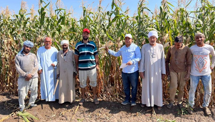 محافظات الصعيد 