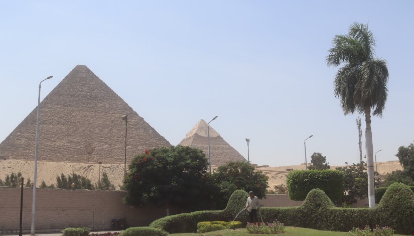 تجميل محيط المتحف المصري الكبير 