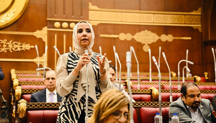 النائبة ولاء هرماس  