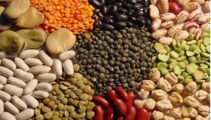 حبوب - أرشيفية