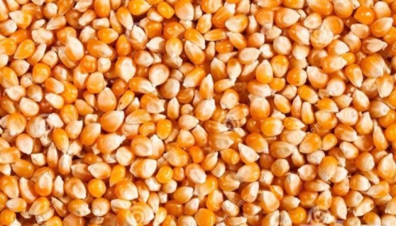 خامات غذائية 