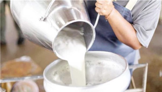  مشروع تجميع ألبان 