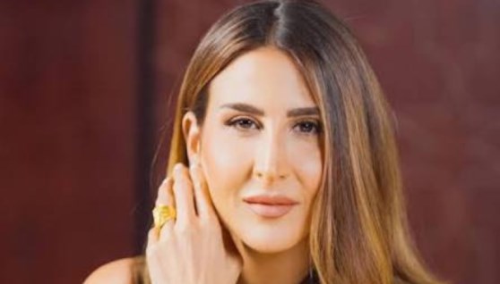 سيدة الأعمال دينا غبور 