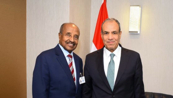 جانب من لقاء وزير الخارجية المصري مع نظيرة الإريتري 