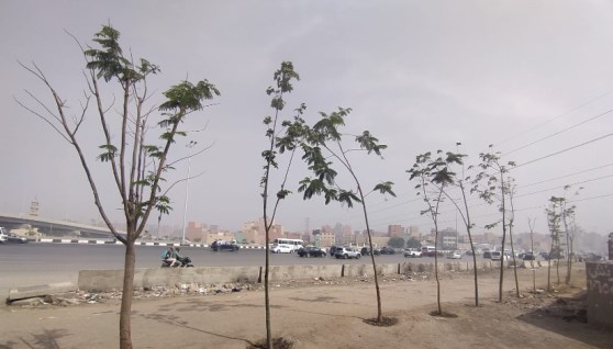 مبادرة اتحضر للأخضر 