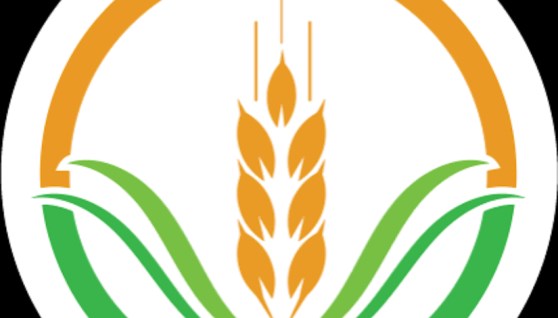 الهيئة العربية للاستثمار والأمن الغذائي