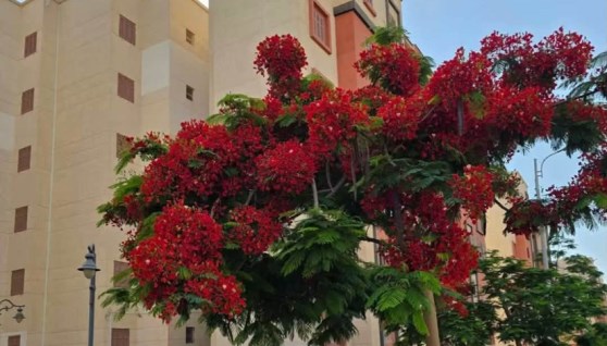 وزارة الإسكان