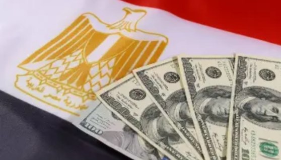 الاستثمار في مصر 