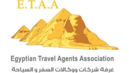 غرفة شركات السياحة