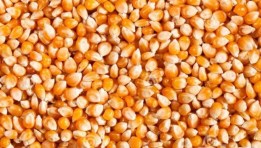 خامات غذائية 