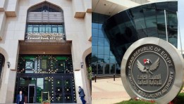 الهيئة العامة للرقابة المالية - البنك المركزي المصري