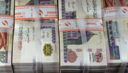 عوائد استثمار