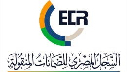 السجل المصري للضمانات المنقولة