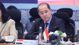 وزير المالية