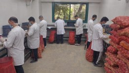 فحص البطاطس