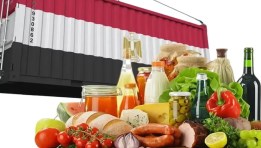 صادرات الصناعة المصرية 2026