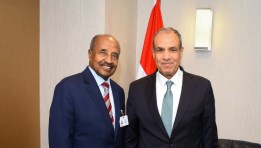 جانب من لقاء وزير الخارجية المصري مع نظيرة الإريتري 