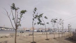مبادرة اتحضر للأخضر 