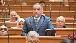 النائب هاني شحاتة