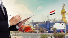 الاستثمار في مصر