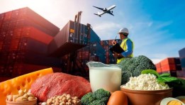 صادرات الأغذية والمشروبات المصرية 