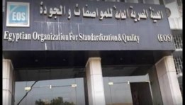 الهيئة المصرية العامة للمواصفات والجودة- أرشيفية