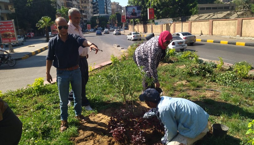 أعمال التشجير وتجميل الطرق والميادي