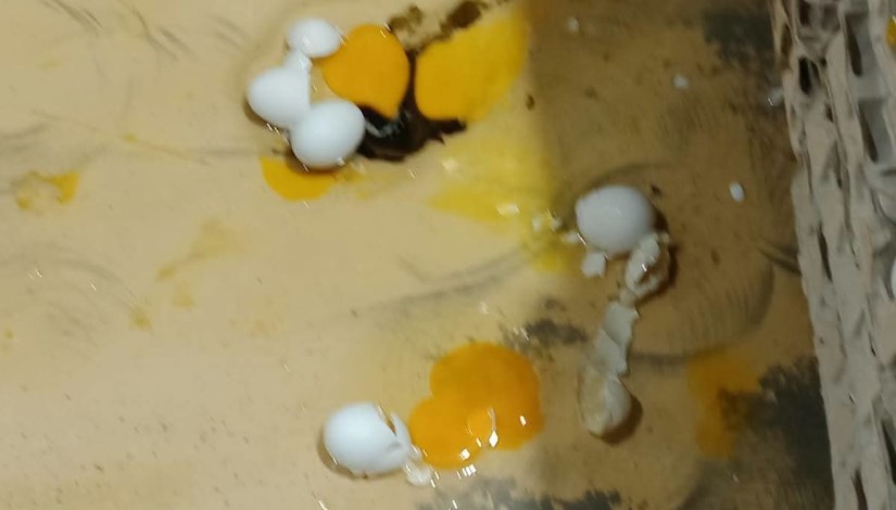 البيض الفاسد