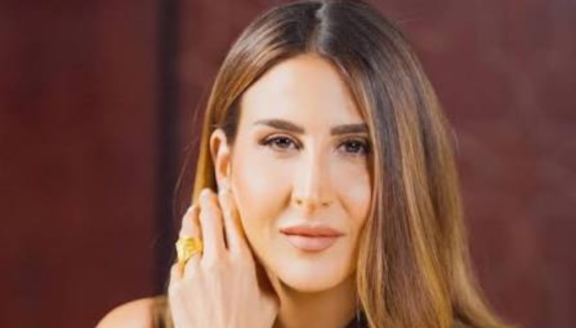 سيدة الأعمال دينا غبور 