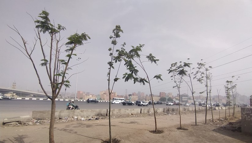 مبادرة اتحضر للأخضر 