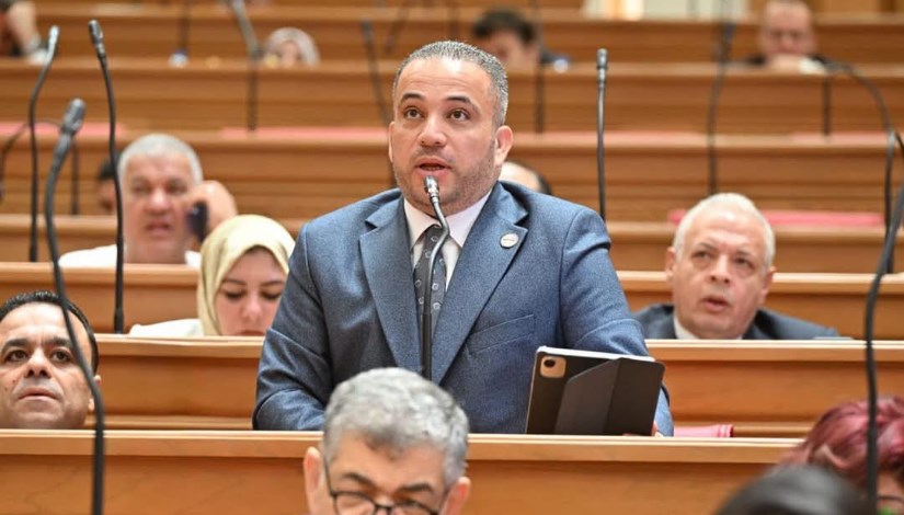 النائب هاني شحاتة