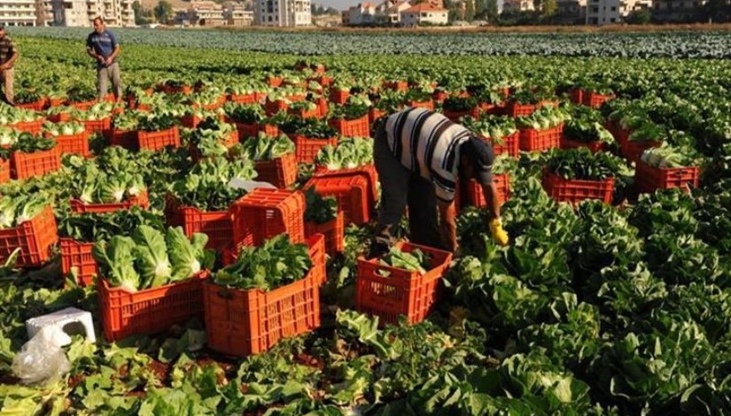  تحويل الحاصلات الزراعية لمنتجات تصنيعية في 2026